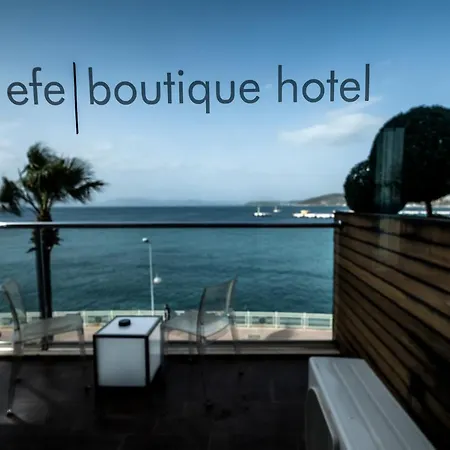 Hotell Efe 3*